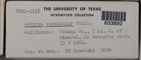 Image Associated With the Occurence